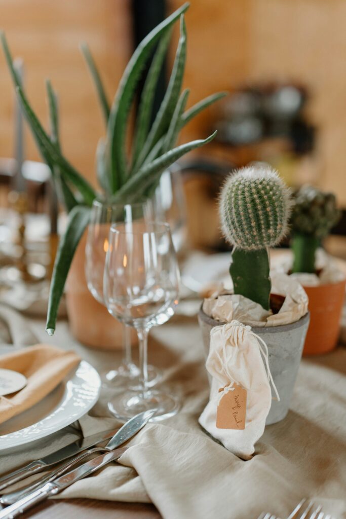 desert theme